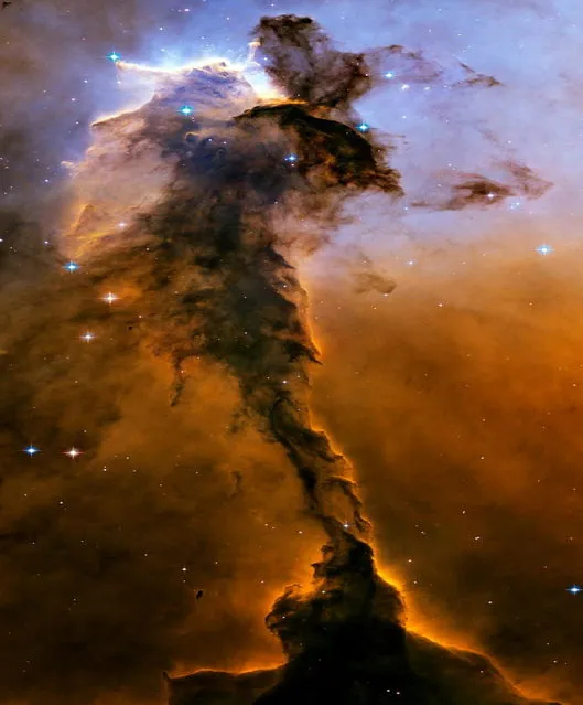 An image of the Eagle Nebula reveals a tall, dense tower of gas being sculpted by ultraviolet light from a group of massive, hot stars. (Photo by Reuters/NASA)