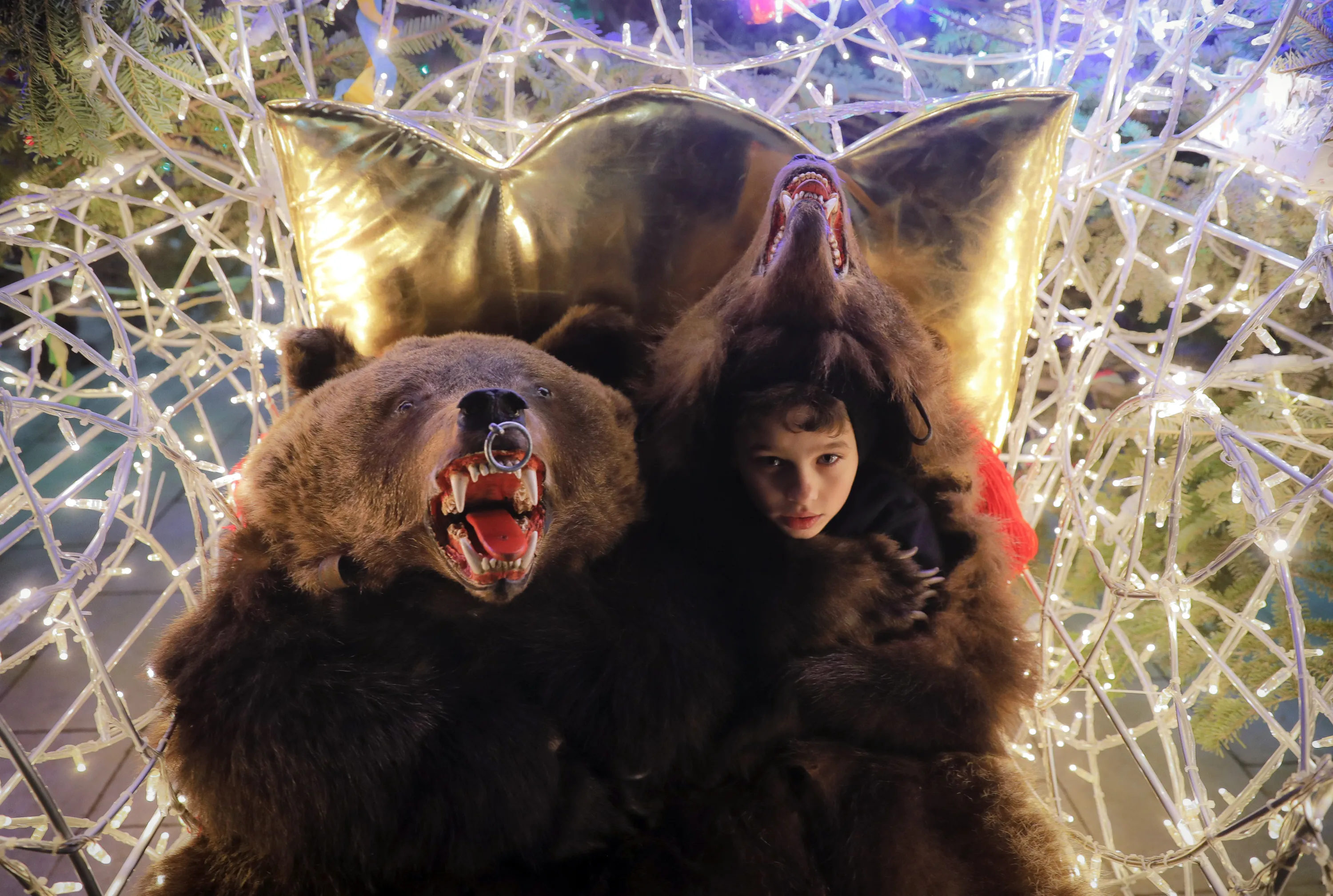 Песня танцующие медведи. Румынский медведь. Танец медведя. Румыния новый год и медведь. Толпа медведей.