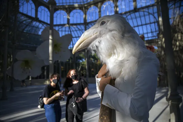 People look at an artwork called “History of a Hug” by visual artist Petrit Halilaj inside the Cristal palace in the Retiro park in Madrid, Spain, Friday, August 28, 2020. Authorities in Madrid, the hottest spot in Spain's new surge of coronavirus contagion, said Thursday they would close parks at night to prevent COVID-19. (Photo by Andrea Comas/AP Photo)