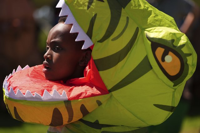 Gael Ndungu, 9, looks out from his costume during the “T-Rex World Championship Races” at Emerald Downs, Sunday, June 29, 2025, in Auburn, Wash. (Photo by Lindsey Wasson/AP Photo)