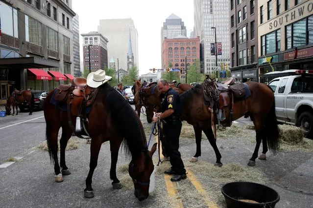 Mounted police units feed their horses on the street during a break from patrols outside the Republican National Convention in Cleveland, Ohio, U.S., July 21, 2016. (Photo by Andrew Kelly/Reuters)