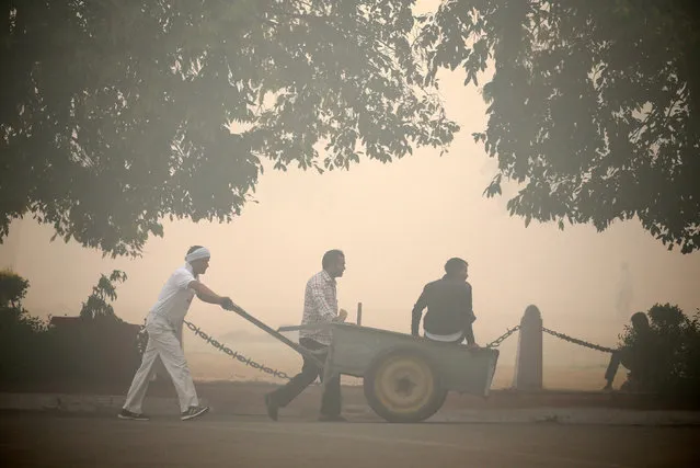 Municipal workers push a cart in a public park on a smoggy morning in New Delhi, India, October 31, 2016. (Photo by Cathal McNaughton/Reuters)