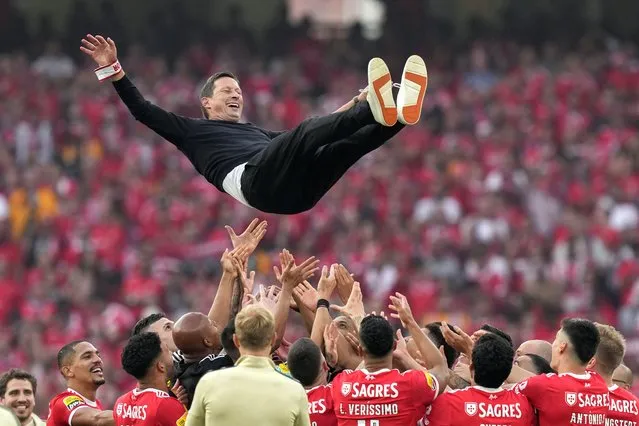Benfica's coach Roger Schmidt is thrown in the air at the end of the Portuguese League last round soccer match between Benfica and Santa Clara at the Luz stadium in Lisbon, Saturday, May 27, 2023. Benfica has won its first Portuguese league title in four years after beating Santa Clara 3-0 on the final day of the season.(Photo by Armando Franca/AP Photo)