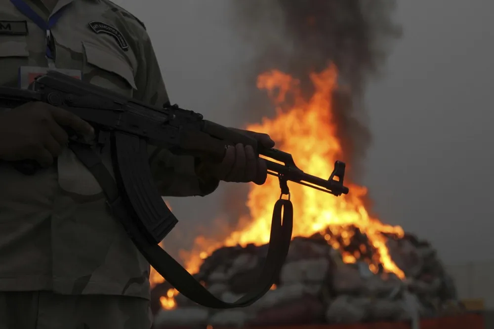 The Day in Photos – November 11, 2016