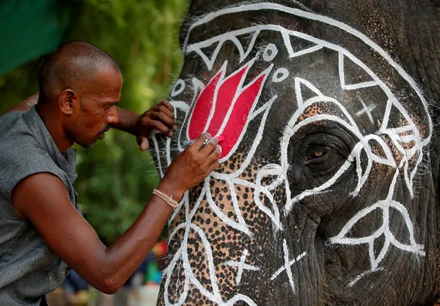 A mahout paints his elephant on the eve of the annual Rath Yatra, or chariot procession, outside the Jagannath temple in Ahmedabad, India, July 13, 2018. (Photo by Amit Dave/Reuters)
