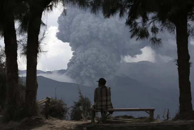A local resident rests on a bench as Mount Bromo volcano erupts in the background in Ngadisari, Probolinggo, East Java, Indonesia January 5, 2016. (Photo by Darren Whiteside/Reuters)
