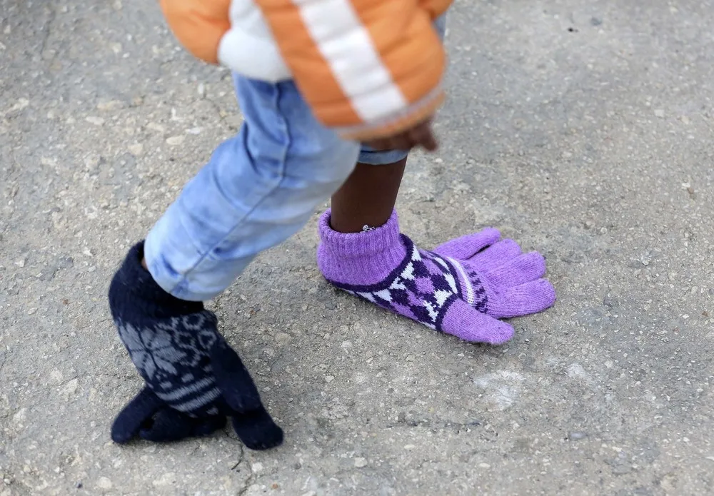 The Week in Pictures: February 13 – February 20, 2015. Part 2/5