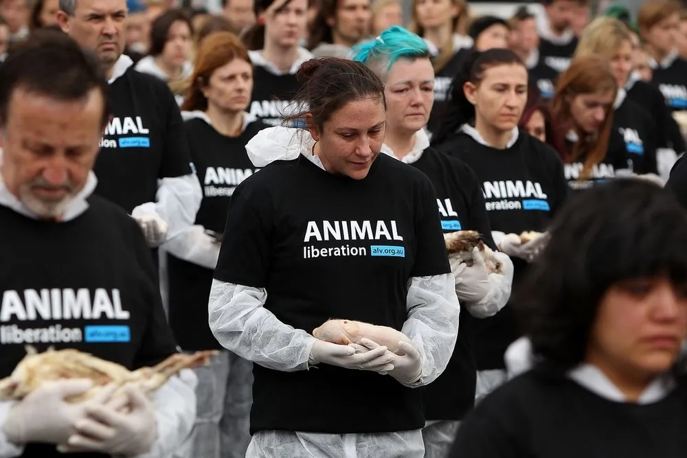Animal Activists Hold Memorial for Dead Animals in Melbourne