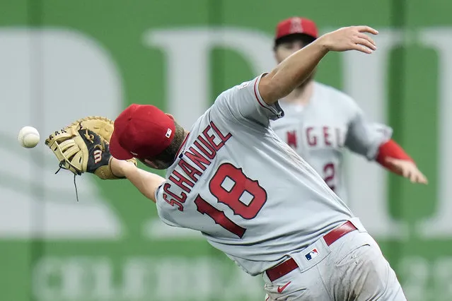 Los Angeles Angels first baseman Nolan Schanuel can't hang onto a pop foul by Tampa Bay Rays' Harold Ramirez during the first inning of a baseball game Wednesday, September 20, 2023, in St. Petersburg, Fla. (Photo by Chris O'Meara/AP Photo)