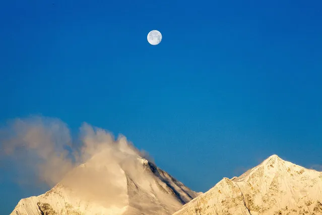 A picture made available on 09 April shows the moon setting while early morning sunlight lits up the Mt. Dhaulagiri, (L), 8,167 meters tall and 7th-highest mountain in the world, in Muktinaath at an altitude of 3800 meters in Mustang district, north east of Nepal, 05 April 2015. Mustang is the former kingdom of Lo, Nepal, located near to Tibet, China. (Photo by Narendra Shrestha/EPA)