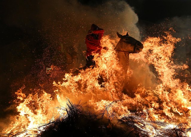 A man rides a horse through flames during the annual “Luminarias” celebration on the eve of Saint Anthony's day, Spain's patron saint of animals, in the village of San Bartolome de Pinares, northwest of Madrid, Spain, January 16, 2017. (Photo by Paul Hanna/Reuters)
