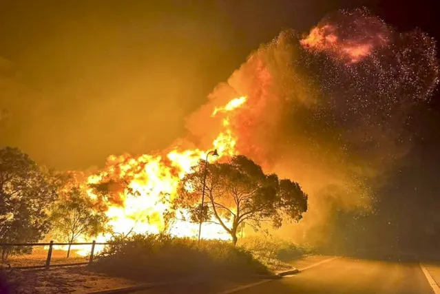 A fire rages in bushland near the West Australian city of Wannaroo, north of Perth in the early hours of Thursday, November 23, 2023. Dozens of residents have been evacuated and at least 10 homes have been destroyed by a wildfire that is burning out of control on the northern fringe of the west coast city of Perth during heatwave spring conditions, authorities say. (Photo by DFES via AP Photo)