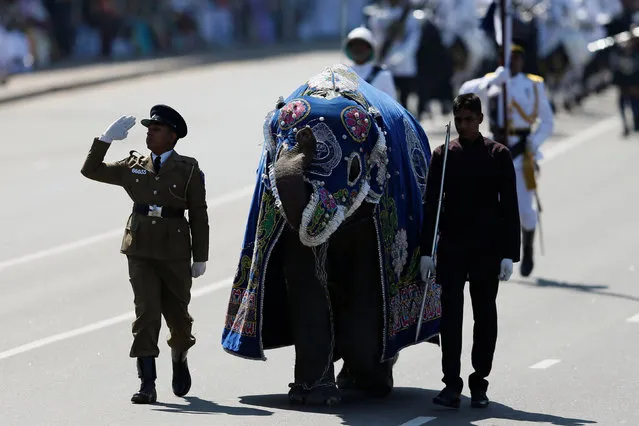 Members of the Sri Lankan police march with an elephant during Sri Lanka's 69th Independence day celebrations in Colombo, Sri Lanka February 4, 2017. (Photo by Dinuka Liyanawatte/Reuters)