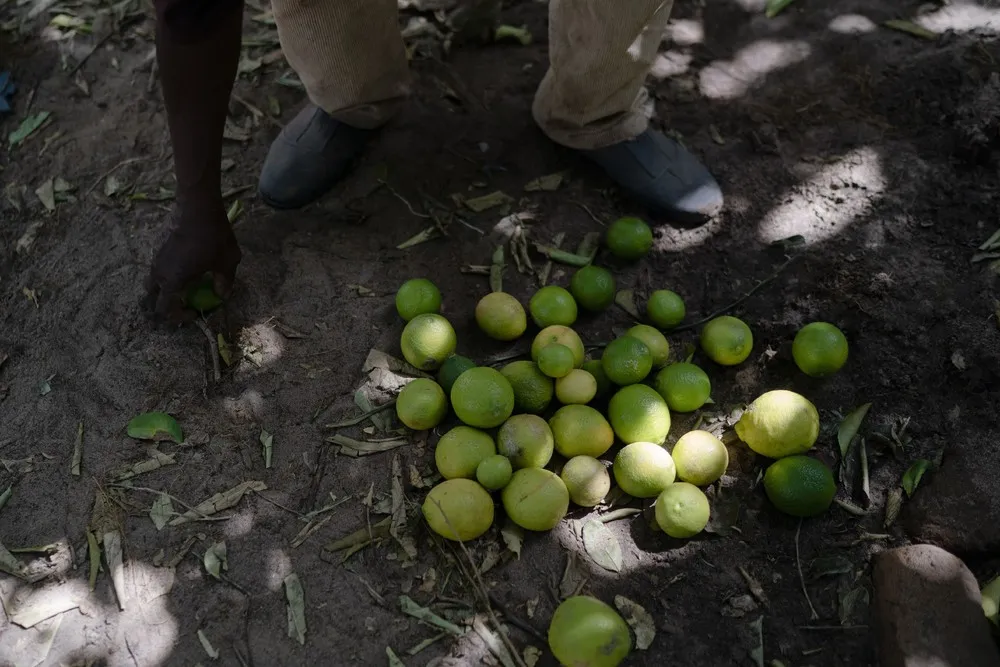 A Look at Life in Africa, Part 2/2