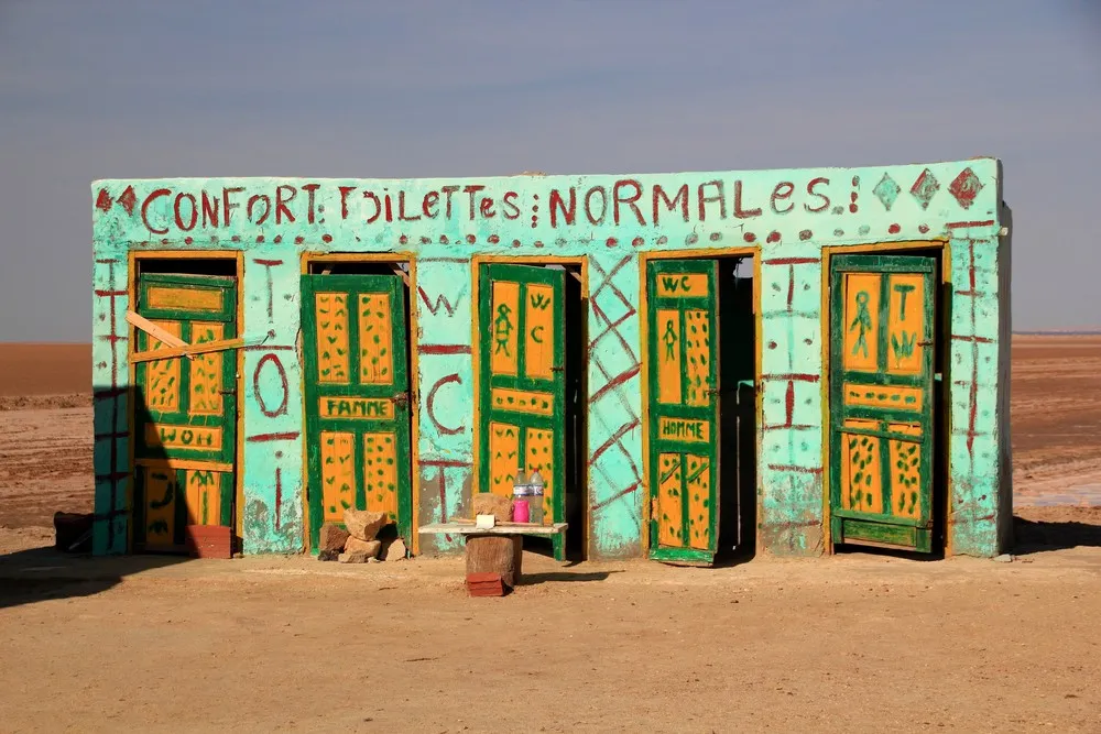 Amazing Toilets around the World
