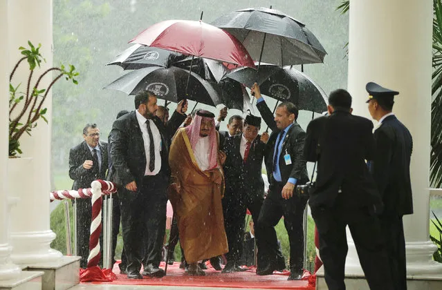 Saudi Arabia's King Salman and Indonesian President Joko Widodo walk under umbrellas in heavy rain during their meeting at the Presidential Palace in Bogor, West Java, Indonesia March 1, 2017. (Photo by Achmad Ibrahim/Reuters)