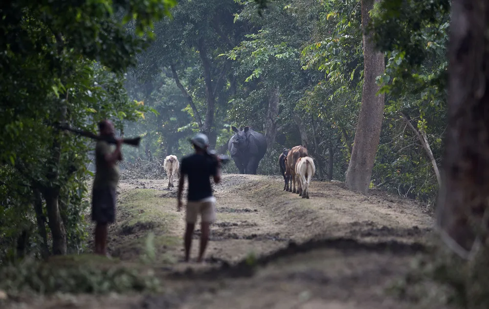 A Look at Life in India, Part 1/2