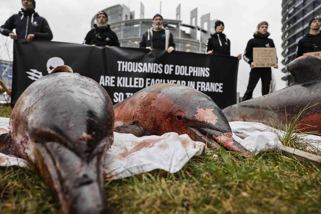 Activists stand by dead dolphins they spread in front of the European parliament in Strasbourg, eastern France Tuesday, March 14, 2023 to urge safer fishing industry practices to protect dolphins from fatal encounters with fishing nets. (Photo by Jean-Francois Badias/AP Photo)