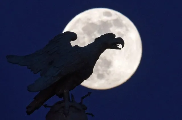 A large eagle is silhouetted against a full moon over the Sanssouci Castle Park in Potsdam, Germany late 21 April 2016. (Photo by Ralf Hirschberger/EPA)