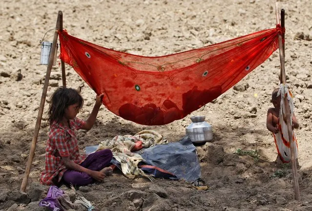 A girl sits next to her sibling who is resting in a hammock under the shade of a tree in a field on the outskirts of Ahmedabad, India May 31, 2016. (Photo by Amit Dave/Reuters)