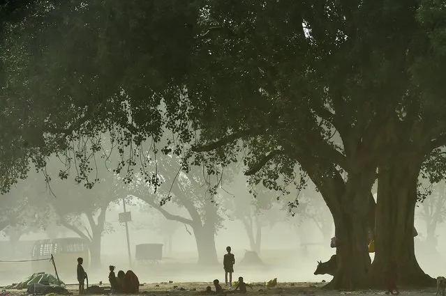 Homeless people rest under a tree on a hot summer afternoon during a duststorm in Allahabad on May 13, 2022. (Photo by Sanjay Kanojia/AFP Photo)