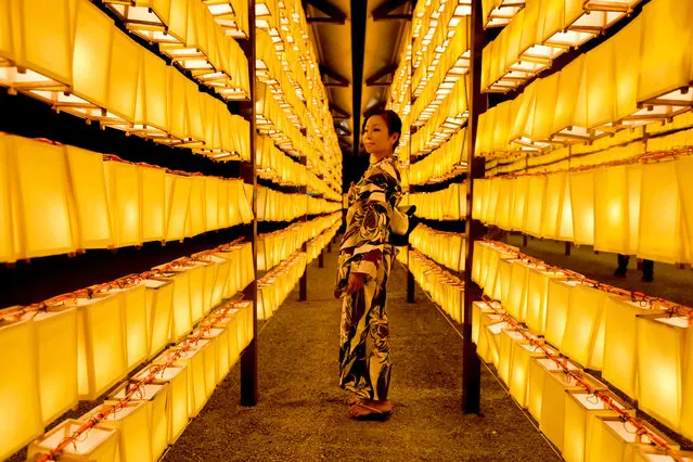 A woman wearing kimono enjoy rows of lit lanterns during the Mitama Matsuri festival at the Yasukuni Shrine in Tokyo on July 13, 2017 Some 30,000 lanterns were illuminated in the precinct in memory of the war victims. (Photo by Toru Yamanaka/AFP Photo)