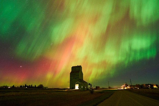 The aurora borealis, also known as the northern lights, light up the sky over an old grain elevator in Brant, Alberta, Canada on October 7, 2024. (Photo by Todd Korol/Reuters)