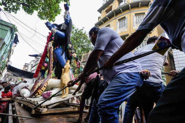 Volunteers pull up a huge clay image of Kali, the Hindu goddess primarily associated with time, death and destruction, on a truck to worship place, in Kolkata, India, Wednesday, October 23, 2024. (Photo by Bikas Das/AP Photo)