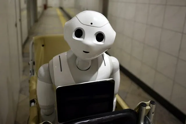 Humanoid robot Pepper in a subway station in Tokyo, Japan, 27 June 2016. (Photo by Franck Robichon/EPA)