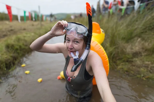 Elise Graham takes part in the World Bog Snorkelling Championships 2017 with a rubber duck on her back on August 27, 2017 in Llanwrtyd Wells, Wales. (Photo by Matthew Horwood/Getty Images)
