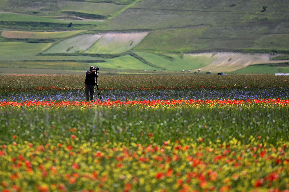 Some Photos: In Flowers