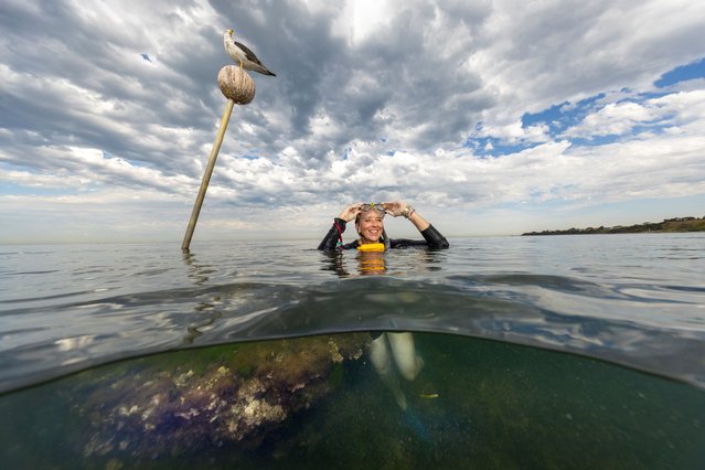 Kathi Herrick, who has moved to Melbourne from Sydney, has taken up snorkelling at Ricketts Point marine sanctuary in Melbourne in February 2025. (Photo by Alex Coppel/The Guardian)