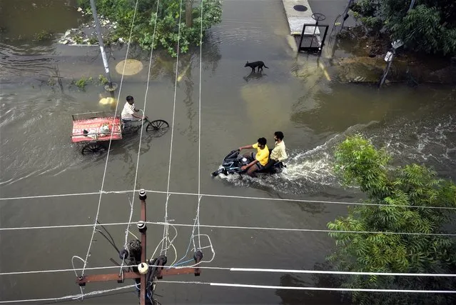 People wade through a flooded residential area following heavy rainfall, in Chennai, India, 12 November 2022. The Indian Meteorological Department (IMD) issued a red alert for four districts in the state of Tamil Nadu on 12 November and predicted heavy to very heavy rainfall in Chennai and other districts in the coming days. Educational institutes continue to shut down in several districts due to heavy downpours. (Photo by Idrees Mohammed/EPA/EFE)