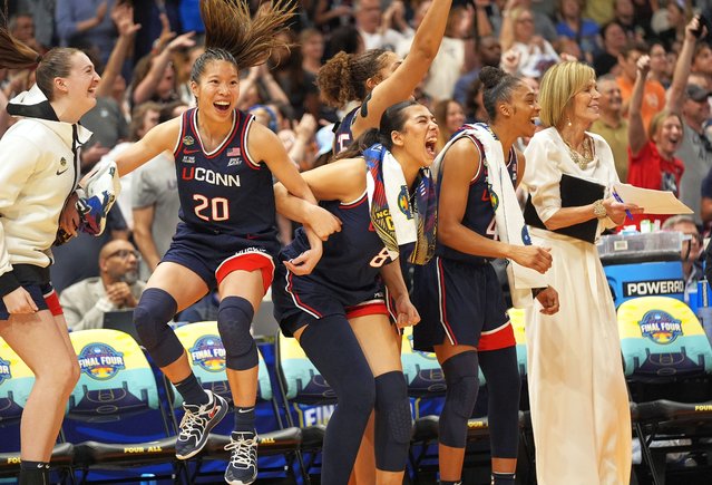 UConn players celebrate during the second half the NCAA womens' title-game against South Carolina, in Tampa, Fla., April 6, 2025. (Photo by John Raoux/AP Photo)