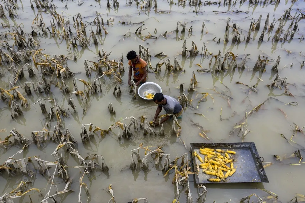 A Look at Life in Bangladesh