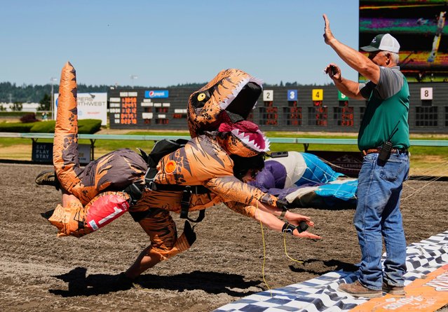 Cody Vancina of Skydive Snohomish dives at the finish line after parachuting down to the track in a t-rex outfit with two colleagues during the “T-Rex World Championship Races” at Emerald Downs, Sunday, June 29, 2025, in Auburn, Wash. (Photo by Lindsey Wasson/AP Photo)