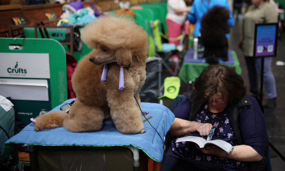 Pictures of the Year 2024, Part 067/240