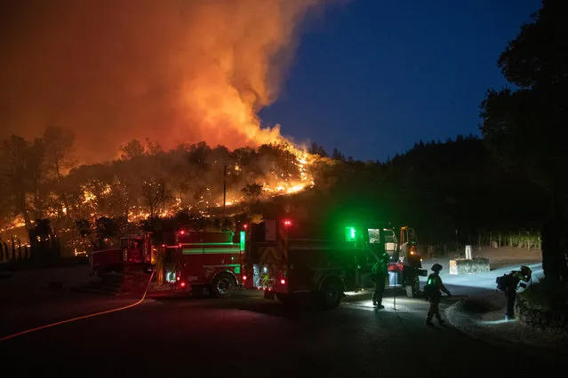 Firefighters protect a residence from the encroaching Glass Fire at a vineyard in Deer Park, California, U.S. September 27, 2020. (Photo by Adrees Latif/Reuters)