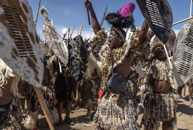 Members of the Amabutho Zulu regiments parade before the reenactment of the Battle of Isandlwana, in Isandlwana on January 21, 2023. (Photo by Marco Longari/AFP Photo)