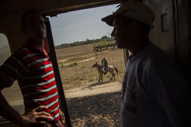 In this March 23, 2015 photo, passengers pass the time chatting on the landing of a train car as a farmer rides his horse alongside the tracks in the province of Holguin in Cuba. Cuba became the first Latin American country with a train system in the mid-19th century when colonial Spain began connecting Havana with the sugar-growing regions outside the capital. (Photo by Ramon Espinosa/AP Photo)