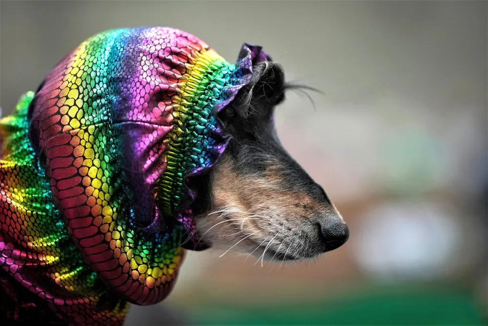 The Day in Photos – March 14, 2023