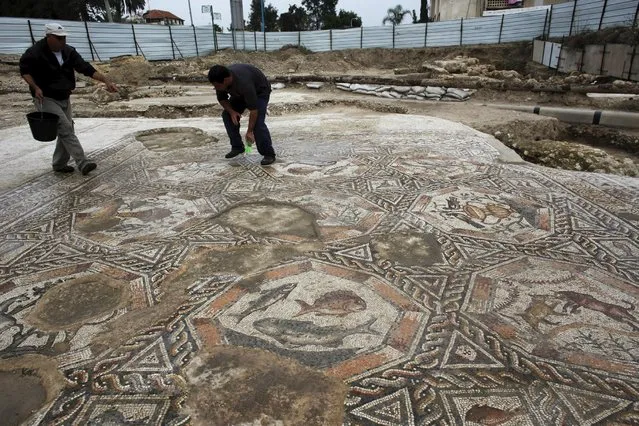 An Israeli antiquity authority worker cleans a mosaic which was part of a courtyard of a villa dated some 1,700 years ago, in Lod, south to Tel Aviv, November 16, 2015. The villa, which waspart of a neighbourhood of affluent houses, stood there during the Roman and Byzantine periods. Lod was then called Diospolis and was the district capital, until it was replaced by Ramla after the Muslim conquest, excavation director of the Israel Antiquities Authority said. (Photo by Nir Elias/Reuters)