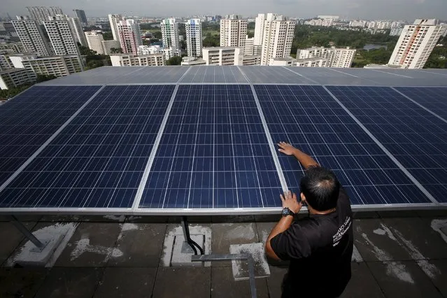 Maintenance officer Wilson Ting of Sunseap Leasing inspects their photovoltaic solar modules on top of a block of Housing Development Board (HDB) public housing estate apartments in Singapore in this April 15, 2015 file photo. (Photo by Edgar Su/Reuters)