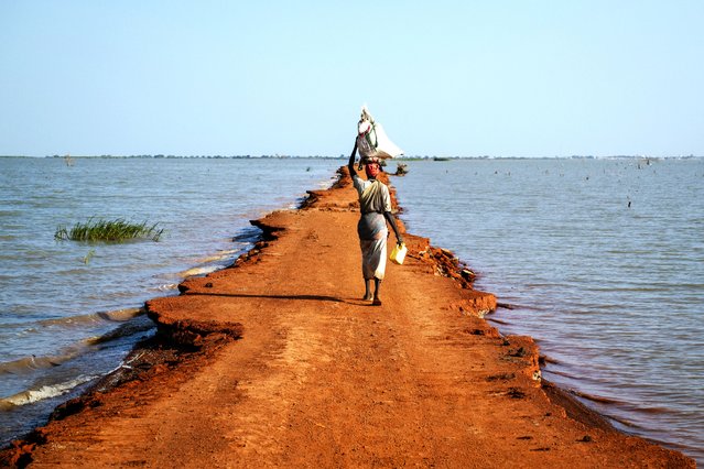 A woman carries a heavy load on her head while walking along the narrow Kilo ZeroKilo 30 road near Bentiu in Unity State, South Sudan, on November 6, 2025. The eroded and flood-affected road compels residents to travel long distances on foot to access supplies in Bentiu and Rubkona. (Photo by Rian Cope/AFP Photo)