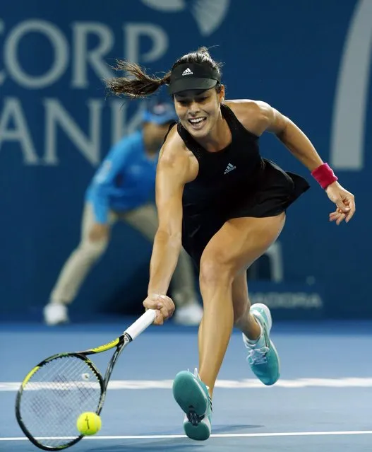 Ana Ivanovic of Serbia dives for a shot at the baseline during her women's singles final match against Maria Sharapova of Russia at the Brisbane International tennis tournament in Brisbane, January 10, 2015. (Photo by Jason Reed/Reuters)
