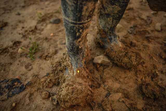 In this Thursday, May 31, 2018 photo, temporary worker Evin, 25, from Cameroon, pauses on his job in his muddy boots, as he collects white asparagus from a field in Caparroso, around 85 km (52 miles) from Pamplona, northern Spain. (Photo by Alvaro Barrientos/AP Photo)