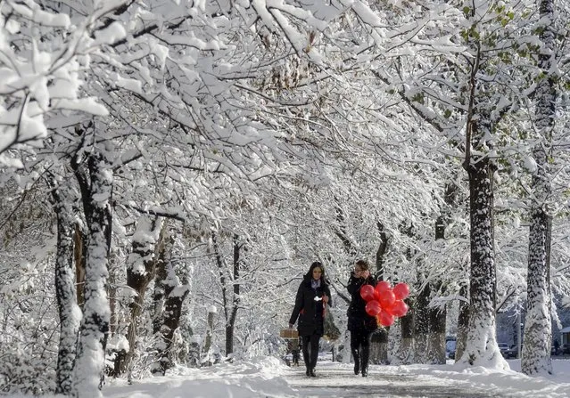 Women walk along a snow-covered alley in Almaty, Kazakhstan, November 16, 2015. (Photo by Shamil Zhumatov/Reuters)