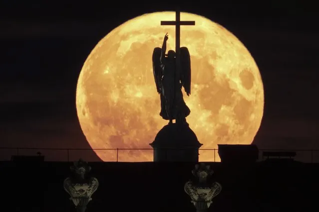 The supermoon rises behind a statue of an angel fixed atop the Alexander Column at the Palace Square in St. Petersburg, Russia, Tuesday, August 1, 2023. (Photo by Dmitri Lovetsky/AP Photo)