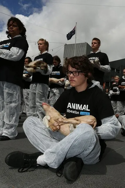 Animal Liberation Victoria activists hold dead animals at Federation Square on October 1, 2013 in Melbourne, Australia. Over 200 activists gathered with the bodies of deceased animals to publicly grieve their deaths. Animal Liberation Victoria is against the treatment of animals as “property” an promotes a vegan lifestyle. (Photo by Graham Denholm/Getty Images)