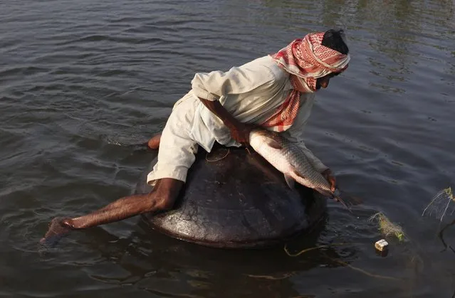 A man uses a floating pitcher to catch a fish after removing it from a net at Keenjhar Lake, near Thatta, February 22, 2015. This technique of fishing using floating pitchers is a unique and traditional one for this community, found only on Keenjhar Lake, one of the largest freshwater lakes in Pakistan, which is famous for its variety of breeding and wintering waterbirds. (Photo by Akhtar Soomro/Reuters)